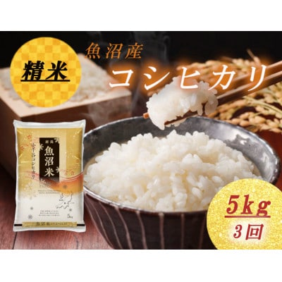 【毎月定期便】雪室貯蔵魚沼産コシヒカリ　精米　5kg全3回