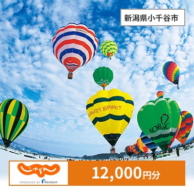【じゃらんふるさと納税クーポン】 新潟県小千谷市でつかえる12,000円 クーポン