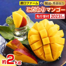 【2023年発送】渡口ファームのこだわりマンゴー約2kg〈秀品・優品混合〉 | ふるさと納税のお礼品