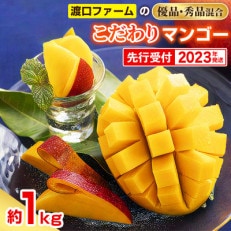 【2023年発送】渡口ファームのこだわりマンゴー約1kg〈秀品・優品混合〉 | ふるさと納税のお礼品