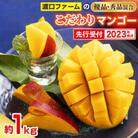 【2023年発送】渡口ファームのこだわりマンゴー約1kg〈秀品・優品混合〉