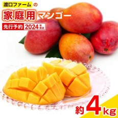 【2024年発送】渡口ファームの家庭用マンゴー約4kg(8玉～16玉) | ふるさと納税のお礼品