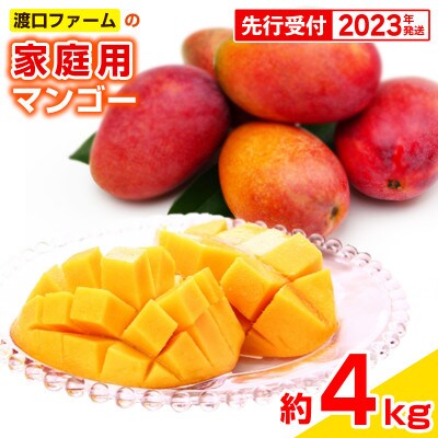 【2023年発送】渡口ファームの家庭用マンゴー約4kg(8玉~16玉)