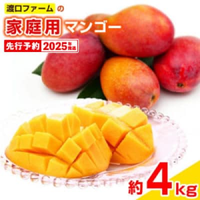 【2025年発送】渡口ファームの家庭用マンゴー約4kg(8玉～16玉)