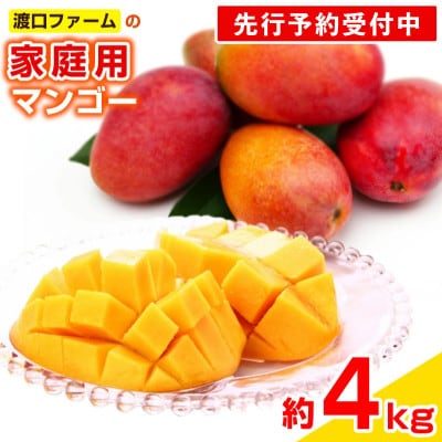 【先行受付】【2026年発送】渡口ファームの家庭用マンゴー約4kg