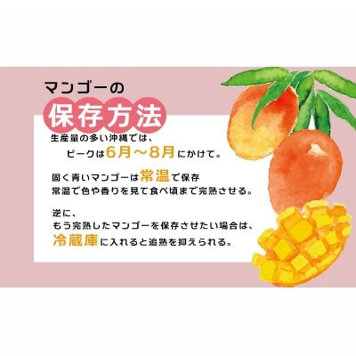 【先行受付】【2026年発送】渡口ファームの家庭用マンゴー約4kg