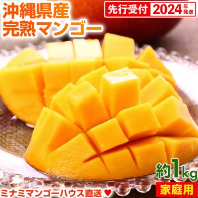 【2024年発送・家庭用約1kg】ミナミマンゴーハウスの完熟マンゴー約1kg(2～4玉)