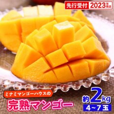 【2023年発送・家庭用約2kg】ミナミマンゴーハウスの完熟マンゴー約2kg(4～7玉) | ふるさと納税のお礼品