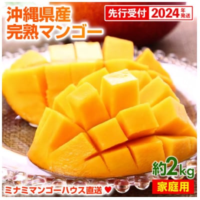 【2024年発送・家庭用約2kg】ミナミマンゴーハウスの完熟マンゴー約2kg(4～7玉)