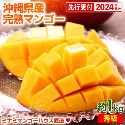 【2024年発送】ミナミマンゴーハウスの完熟マンゴー【秀】約1kg(2～3玉)