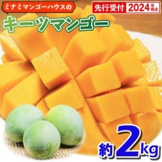 【2024年発送】ミナミマンゴーハウスのキーツマンゴー約2kg(2～4玉)