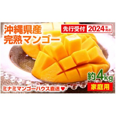 【2024年発送】ミナミマンゴーハウスの完熟マンゴー約4kg(8～12玉)