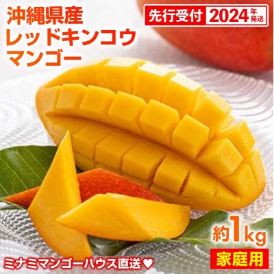 【2024年発送・家庭用お試し】赤金煌(レッドキンコウ)マンゴー約1kg