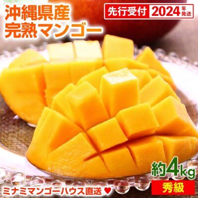 【2024年発送】ミナミマンゴーハウスの完熟マンゴー【秀】約4kg(8～12玉)