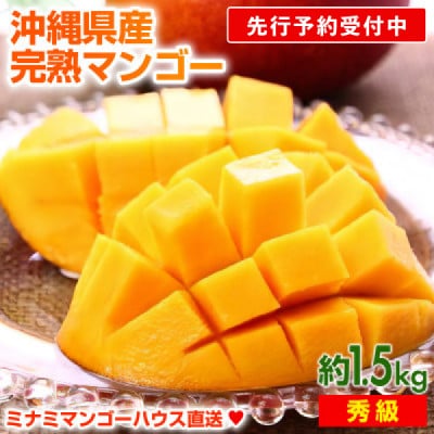 【先行受付】【2025年発送】ミナミマンゴーハウスの完熟アップルマンゴー【秀】約1.5kg