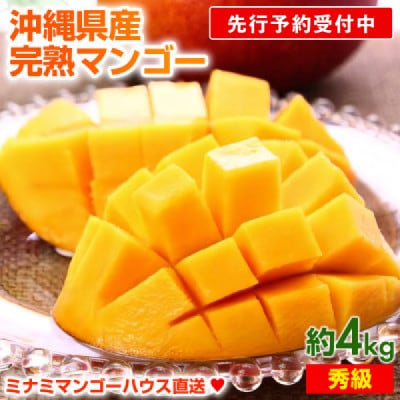 【先行受付】【2025年発送】ミナミマンゴーハウスの完熟アップルマンゴー【秀】約4kg(8～12玉)