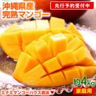 【先行受付】【2025年発送・家庭用】ミナミマンゴーハウスのアップルマンゴー約4kg(8～12玉)