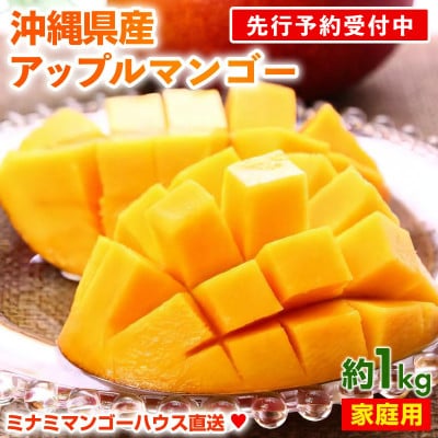 【2026年発送・家庭用】ミナミマンゴーハウスのアップルマンゴー約1kg(2～4玉)
