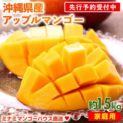 【2026年発送・家庭用】ミナミマンゴーハウスのアップルマンゴー約1.5kg