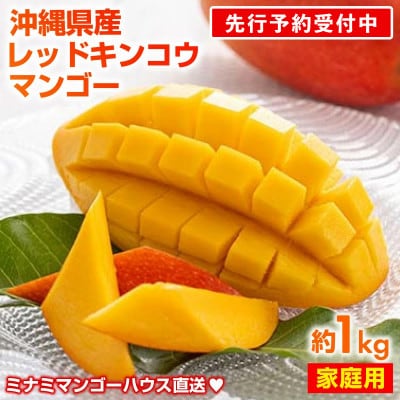 【2026年発送・家庭用】赤金煌(レッドキンコウ)マンゴー約1kg