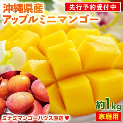 【2026年発送】ミナミマンゴーハウスのアップル ミニマンゴー約1kg【家庭用】