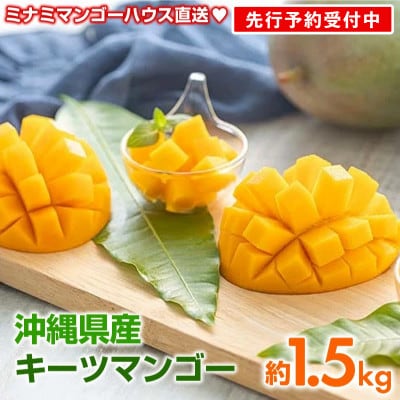 【2026年発送】ミナミマンゴーハウスのキーツマンゴー約1.5kg