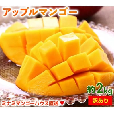 【2026年発送・訳あり】ミナミマンゴーハウスのアップルマンゴー約2kg