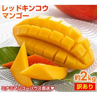 【2026年発送・訳あり】ミナミマンゴーハウスの赤金煌(レッドキンコウ)マンゴー約2kg