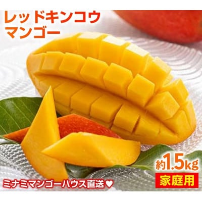 【2026年発送・家庭用】ミナミマンゴーハウスの赤金煌 (レッドキンコウ)マンゴー約1.5kg