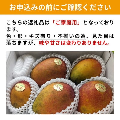 【2026年発送・家庭用】ミナミマンゴーハウスの赤金煌 (レッドキンコウ)マンゴー約1.5kg
