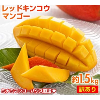 【2026年発送・訳あり】ミナミマンゴーハウスの赤金煌(レッドキンコウ)マンゴー約1.5kg