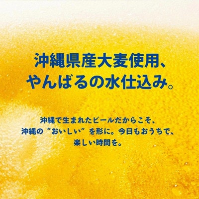 <オリオンビール>オリオン ザ・ドラフト【500ml×24缶】