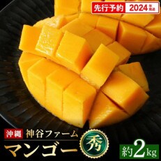 【マンゴー農園直送!】2024年夏!マンゴー秀品 約2kg(3～6玉)