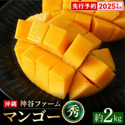 【マンゴー農園直送!】2025年夏!マンゴー秀品 約2kg(3～6玉)