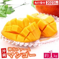 【マンゴー農園直送!】2023年夏!神谷ファームのマンゴー 約1kg(ご家庭用) | ふるさと納税のお礼品