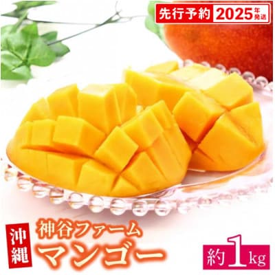 【マンゴー農園直送!】2025年夏!マンゴー 約1kg(ご家庭用)