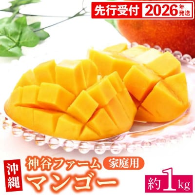 【マンゴー農園直送!】2026年夏!マンゴー 約1kg(ご家庭用)