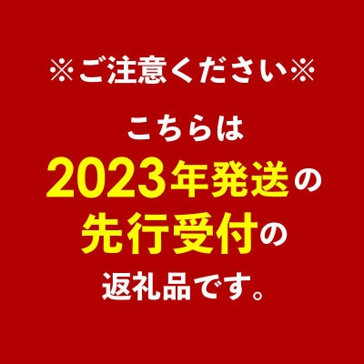 【マンゴー農園直送!】2023年夏!マンゴー(極) 約1.5kg(3～5玉)