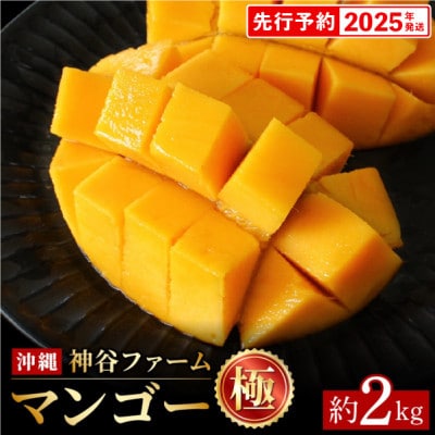 【マンゴー農園直送!】2025年夏!マンゴー(極) 約2kg(3～6玉)