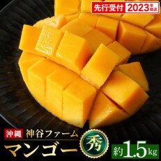 【マンゴー農園直送!】2023年夏!マンゴー秀品 約1.5kg(3～5玉) | ふるさと納税のお礼品