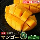 【マンゴー農園直送!】2025年夏!マンゴー秀品 約1.5kg(3～5玉)