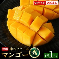 【マンゴー農園直送!】2024年夏!マンゴー秀品 約1kg(2～4玉) | ふるさと納税のお礼品