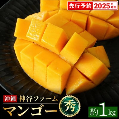 【マンゴー農園直送!】2025年夏!マンゴー秀品 約1kg(2～4玉)