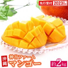 【マンゴー農園直送!】2023年夏!神谷ファームのマンゴー 約2kg(ご家庭用) | ふるさと納税のお礼品