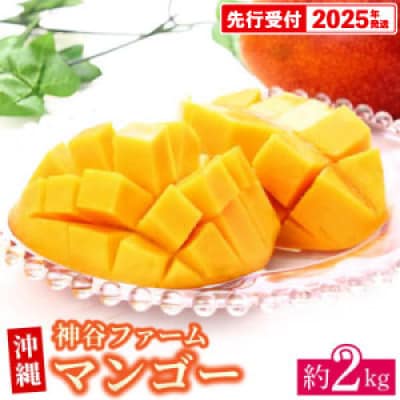 【マンゴー農園直送!】2025年夏!マンゴー 約2kg(ご家庭用)