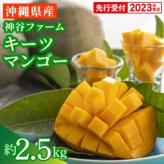 【マンゴー農園直送!】2023年夏!神谷ファームのキーツマンゴー 約2.5kg | ふるさと納税のお礼品