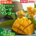 【マンゴー農園直送!】2025年夏!神谷ファームのキーツマンゴー 約2.5kg