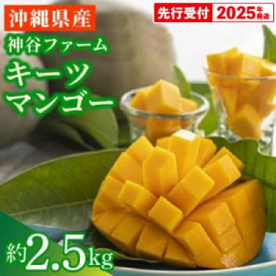 【マンゴー農園直送!】2025年夏!神谷ファームのキーツマンゴー 約2.5kg