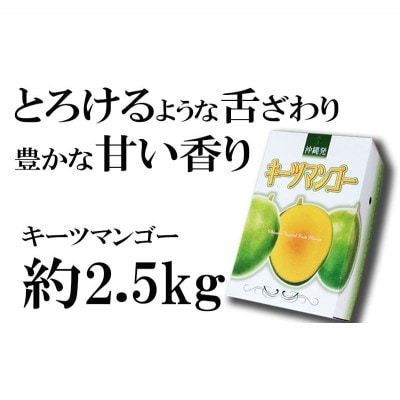 【マンゴー農園直送!】2025年夏!神谷ファームのキーツマンゴー 約2.5kg