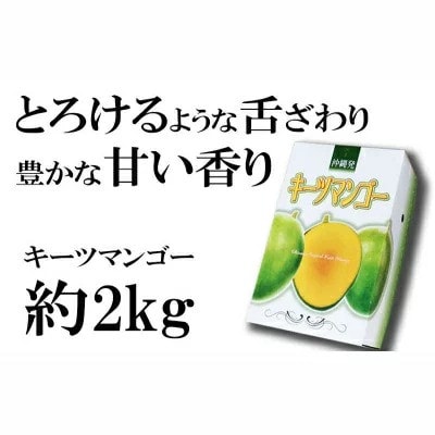 【マンゴー農園直送!】2025年夏!神谷ファームのキーツマンゴー 約2kg